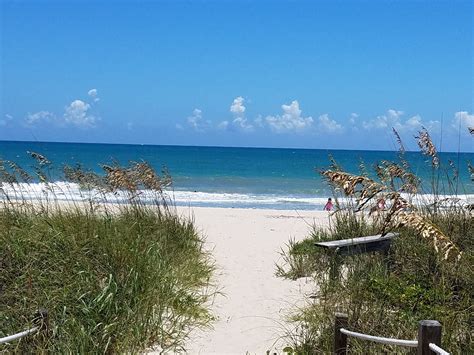 Sunnier Palms Nudist Resort South Florida